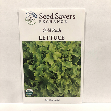 Gold Rush Lettuce, Organic